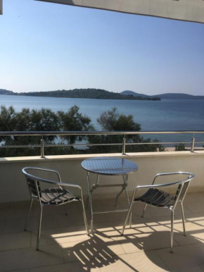 Galeb